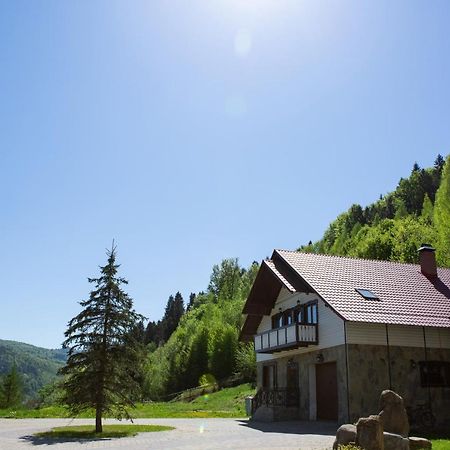Villa Kamyanka Yaremche Exterior foto